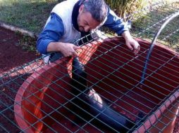 Los rescatistas acordonaron el lugar y solicitaron el apoyo con médicos veterinarios del zoológico de la ciudad. SUN / ESPECIAL