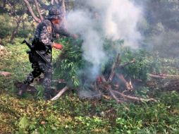 En dicho lugar se recaban muestras representativas, que fueron puestas a disposición del Ministerio Público de la Federación. EL INFORMADOR / ARCHIVO
