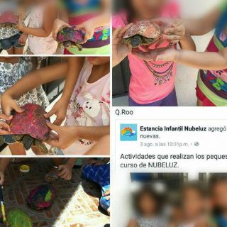 Niños pintando caparazones de tortugas causan polémica