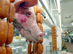 Está demostrado científicamente que la grasa de cerdo es mejor en comparación con la de otros animales, pues es la más insaturada. EL INFORMADOR / ARCHIVO