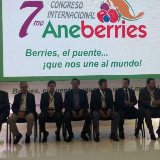 Renegociación del TLCAN, oportunidad para reforzar otros tratados