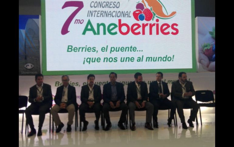 Las ventas de berries a Estados Unidos equivalen a 302 mil 707 toneladas, con un valor de mil 560 millones de dólares. EL INFORMADOR / A. Gallegos