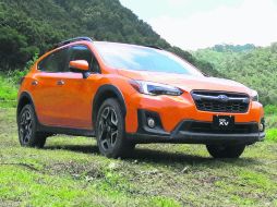 TECNOLOGÍA. Dependiendo de la versión, podrá equipar una pantalla de hasta ocho pulgadas. EL INFORMADOR / C. Cerda