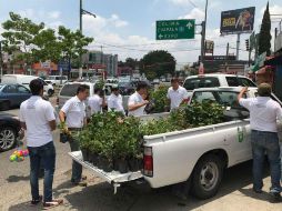 Los jóvenes brigadistas se encargaron de repartir los árboles a las personas ESPECIAL / Gobierno de Zapopan