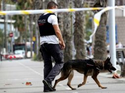 Policías registran varias viviendas ante la posibilidad de que algún conocido haya ofrecido refugio al terrorista. EFE / S. Barrenechea