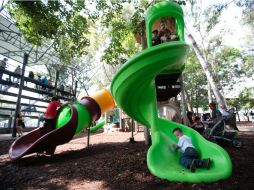 Niños y adultos disfrutaron en las diversas áreas del lugar. EL INFORMADOR / F. Atilano