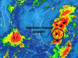 El pasado sábado, ''Harvey'' se debilitó en su avance por el Mar Caribe. TWITTER / @conagua_clima