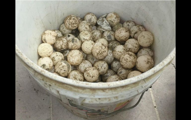 El encuentro se realizó durante un patrullaje preventivo. NTX / ARCHIVO