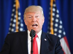 Los representantes de ProMéxico y Comce ven como una estrategia la declaración de Trump. AFP / ARCHIVO