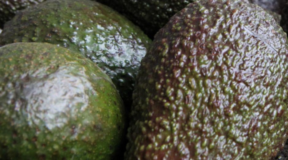 En México, en algunos estados el precio del aguacate se ha registrado hasta en 90 pesos. EL INFORMADOR / ARCHIVO