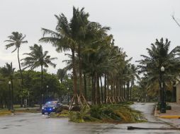 Piden a las personas que se hallan bajo orden de evacuación salgan de sus hogares y busquen refugio. AP / D. Santiago/Miami Herald