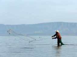 Este año el Lago de Chapala se ubica a 63 por ciento de su capacidad. EL INFORMADOR / ARCHIVO