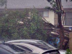 Permitirá ‘traer importantes recursos federales y ayuda a Florida’ dice el gobernador. AFP / M. Eve