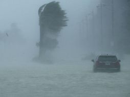 Hasta ahora han muerto al menos tres personas en Florida a causa del huracán. AFP / C. Somodevilla