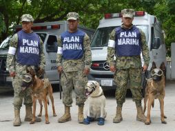 El Ejército afirmó que diez binomios caninos continúan realizando actividades de búsqueda y rescate. NTX / N. Segura