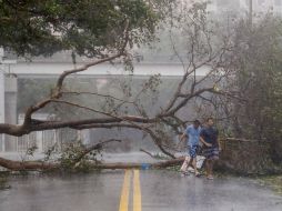Hasta ahora la cifra oficial de muertes causadas por 'Irma' en Florida sigue en tres. EFE / E. Lesser