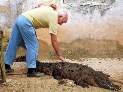 Estos animales han sido desplazados de sus hábitats tras la feroz tormenta. AFP / ARCHIVO