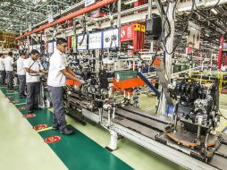 Hay mil 400 empresas exportadoras que concentran su producción en mercados de EU (65.2%), Países Bajos (15.7%) y Canadá (2.1%). NTX / ARCHIVO