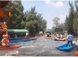 Las imágenes son captadas por varios turistas que paseaban en trajineras. TWITTER / @PETERalvizar