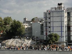 Esta tarde a las 13:14 horas se registró un temblor de 7.1 grados que dejó varios edificios colapsados y más de 100 muertos. EFE / J. Méndez
