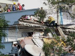 Una réplica, como un sismo en sí mismo, no puede predecirse, pero la sociedad debe estar prevenida. EFE / M. Guzmán