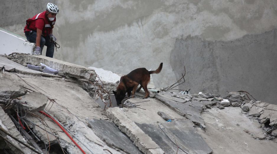 Los Topos han estado trabajando en la fábrica desde las 11:00 horas.