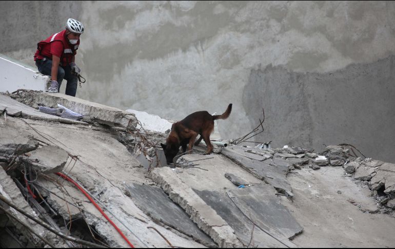 Los Topos han estado trabajando en la fábrica desde las 11:00 horas.