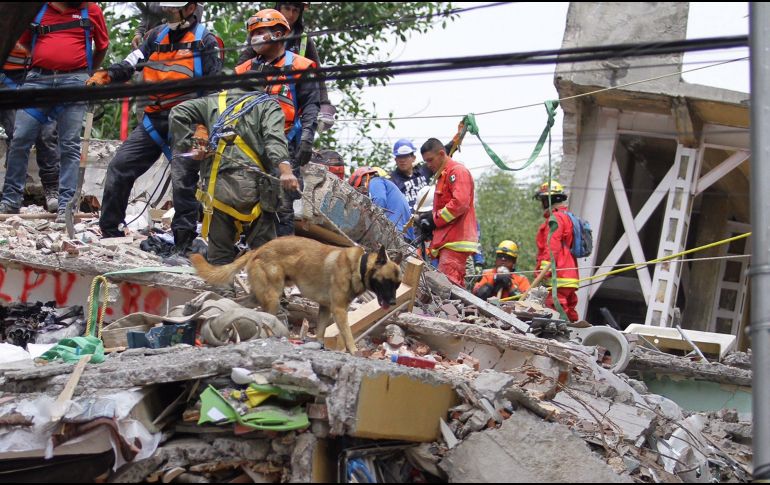 El presidente del Consejo de Administración del Siapa dice que las redes de agua potable resultaron muy afectadas tras el temblor.