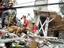 El presidente del Consejo de Administración del Siapa dice que las redes de agua potable resultaron muy afectadas tras el temblor.