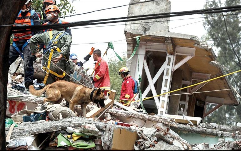 El presidente del Consejo de Administración del Siapa dice que las redes de agua potable resultaron muy afectadas tras el temblor.