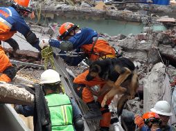 Rescatistas realizan labores de búsqueda en un edificio de Taxqueña.
