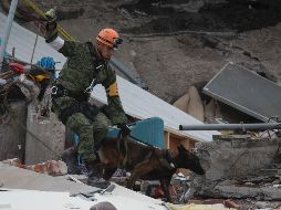 Las acciones de búsqueda y rescate continuarán hasta agotar todas las posibilidades en las áreas afectadas.