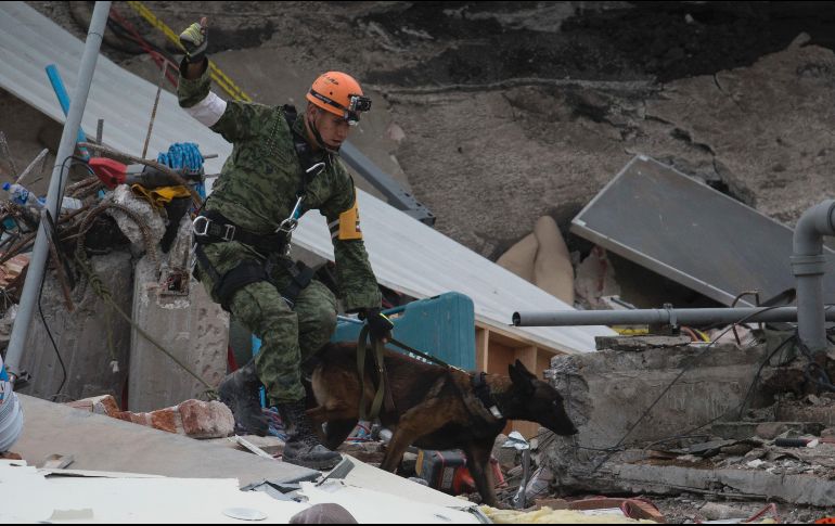Las acciones de búsqueda y rescate continuarán hasta agotar todas las posibilidades en las áreas afectadas.