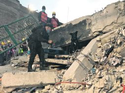Habilidad. Los binomios caninos están entrenados en la búsqueda de personas en situaciones extremas.