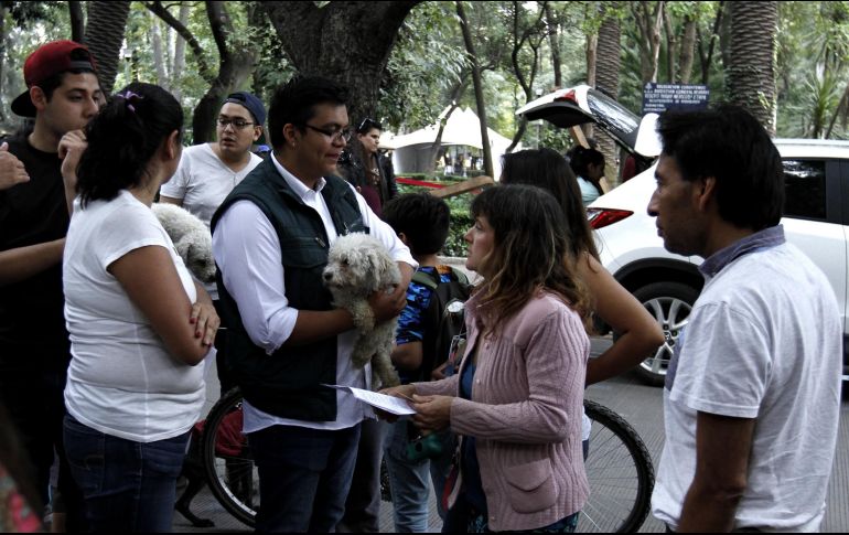 Muchas mascotas quedaron atrapadas o se extraviaron después del sismo del 19 de septiembre.