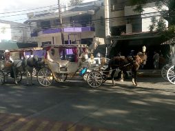 Cerca de 60 calandrieros se manifestaron frente a las instalaciones de la CEDHJ. EL INFORMADOR / R. Bobadilla