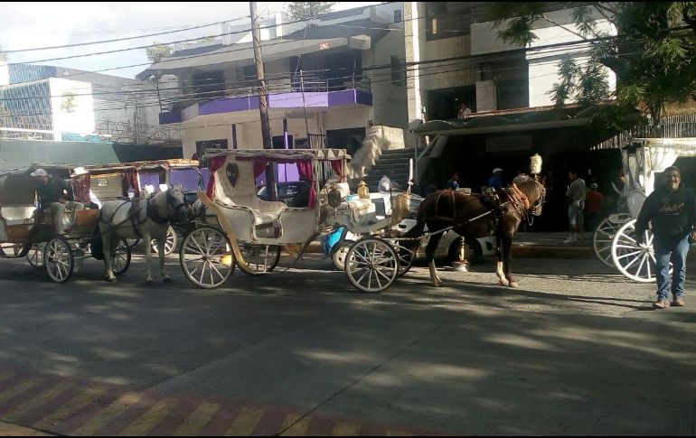 Cerca de 60 calandrieros se manifestaron frente a las instalaciones de la CEDHJ. EL INFORMADOR / R. Bobadilla