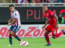 El Rebaño y el cuadro licántropo se enfrentarán en un duelo donde ambos tienen demasiado en juego.