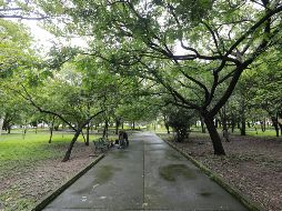 Un arboretum es un jardín botánico con árboles o plantas leñosas, con la intención de estudiarlos o darlos a conocer.