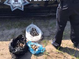 El decomiso fue hecho por agentes de la Profepa y la División de Seguridad Regional de la Policía Federal. NTX