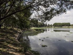 Este trabajo forma parte de la segunda etapa de renovación del espacio verde en la Perla Tapatía. EL INFORMADOR / ARCHIVO