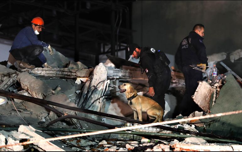 El pasado 19 de septiembre, a 32 años del terremoto de 1985, un movimiento telúrico de 7.1 azotó la Ciudad de México. SUN / ARCHIVO