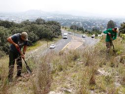 En la temporada de estiaje 2017 se suscitaron 228 incendios forestales en el municipio, con una superficie afectada de 194.7 hectáreas. EL INFORMADOR / ARCHIVO