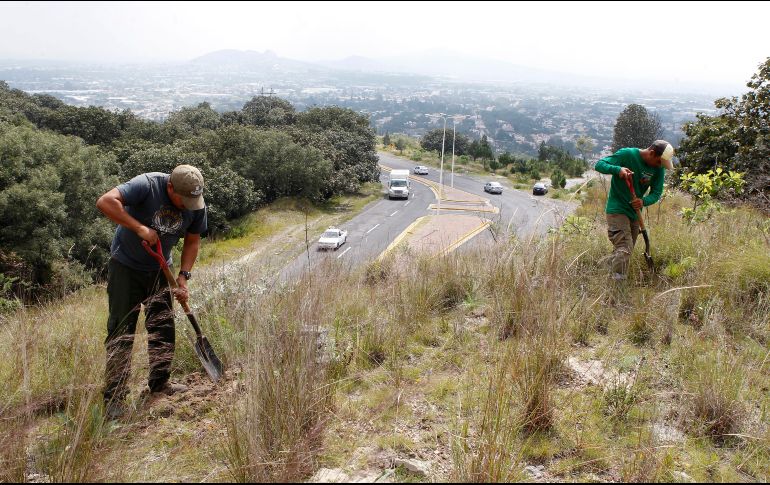 En la temporada de estiaje 2017 se suscitaron 228 incendios forestales en el municipio, con una superficie afectada de 194.7 hectáreas. EL INFORMADOR / ARCHIVO