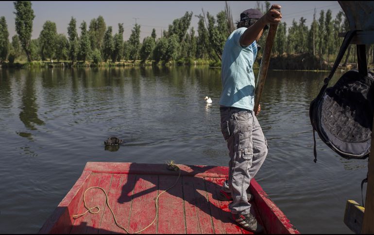 En el lugar se cultiva lechuga, brócoli, verdolaga y berros. AFP / ARCHIVO