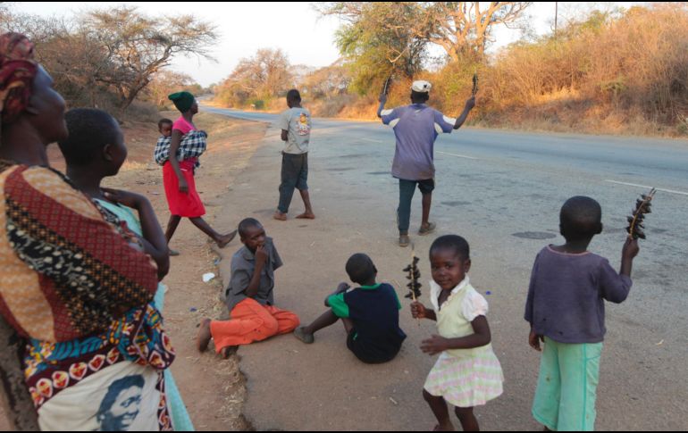 Con los ratones colocados en brochetas, los menores buscan atraer a los viajeros que pasan por la carretera. A 10 ratones por dólar, los jóvenes vendedores consideran que hacen un buen negocio. AP/T. Mukwazhi