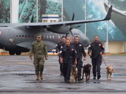 El Equipo de Búsqueda y Rescate Urbano del Departamento de Bomberos del Condado de Los Ángeles colaboró con labores de rescate luego de los dos sismos que azolaron el centro y sur del país. TWITTER / @SRE_mx