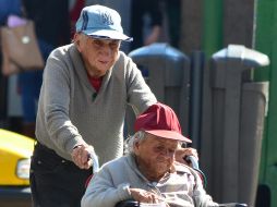 Este sector poblacional tiene 60 años o más, de los cuales, 53.9 por ciento son mujeres y 46.1 por ciento varones. EL INFORMADOR / ARCHIVO