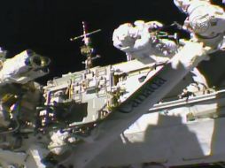 El brazo robótico que deben reparar tiene 18 metros de largo y juega un papel crucial en los trabajos que se realizan en la ISS. AFP/HANDOUT