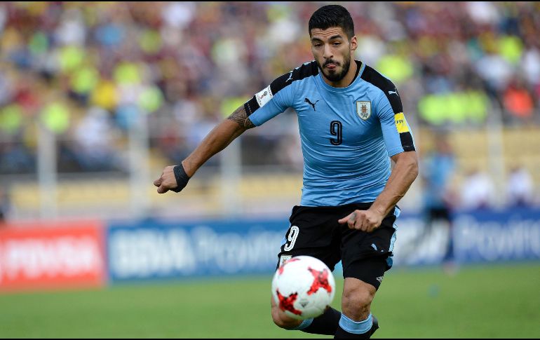 Los 28 puntos que acumulan los uruguayos los colocan a la puerta de la clasificación al Rusia 2018. AFP/ F. Parra